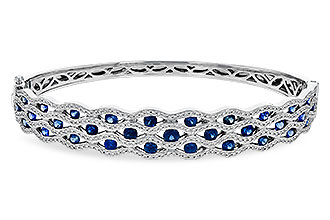 H251-83010: BANGLE 2.34 SAPP 3.14 TGW